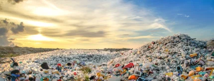Haastattelussa Wimaon johto – yritys ratkaisee globaalin muovijäteongelman kannattavasti