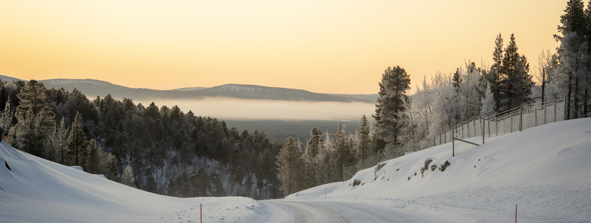 Kaikki kevään 2025 vuoden osingoista